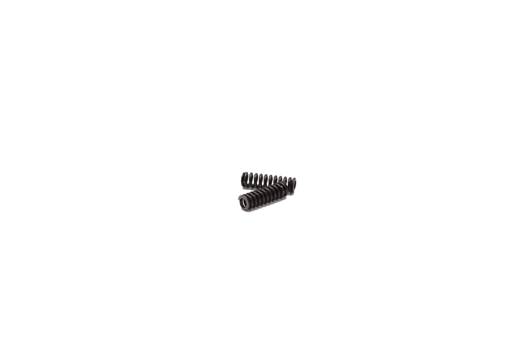 PRESSURE SPRING FOR PALAMIDES DELTA 
