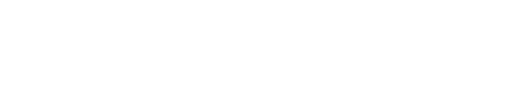 Friedheim International